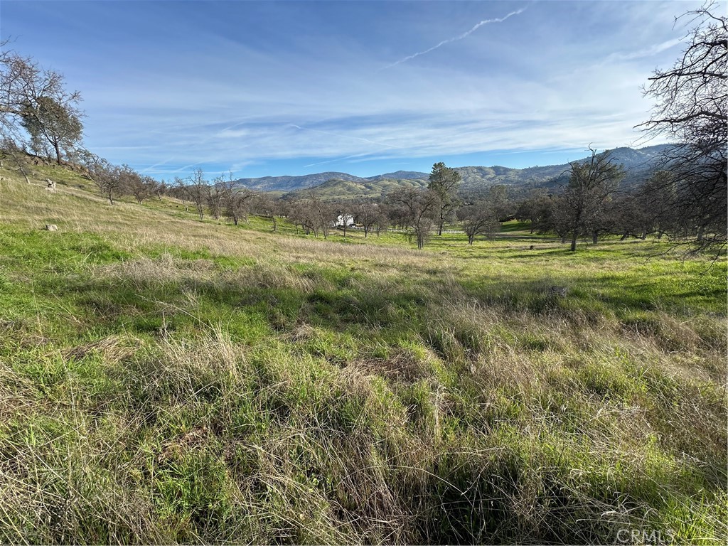 3228 Wild Rose Ct, Catheys Valley, CA 95306