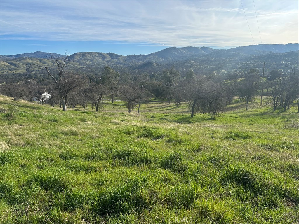 3228 Wild Rose Ct, Catheys Valley, CA 95306