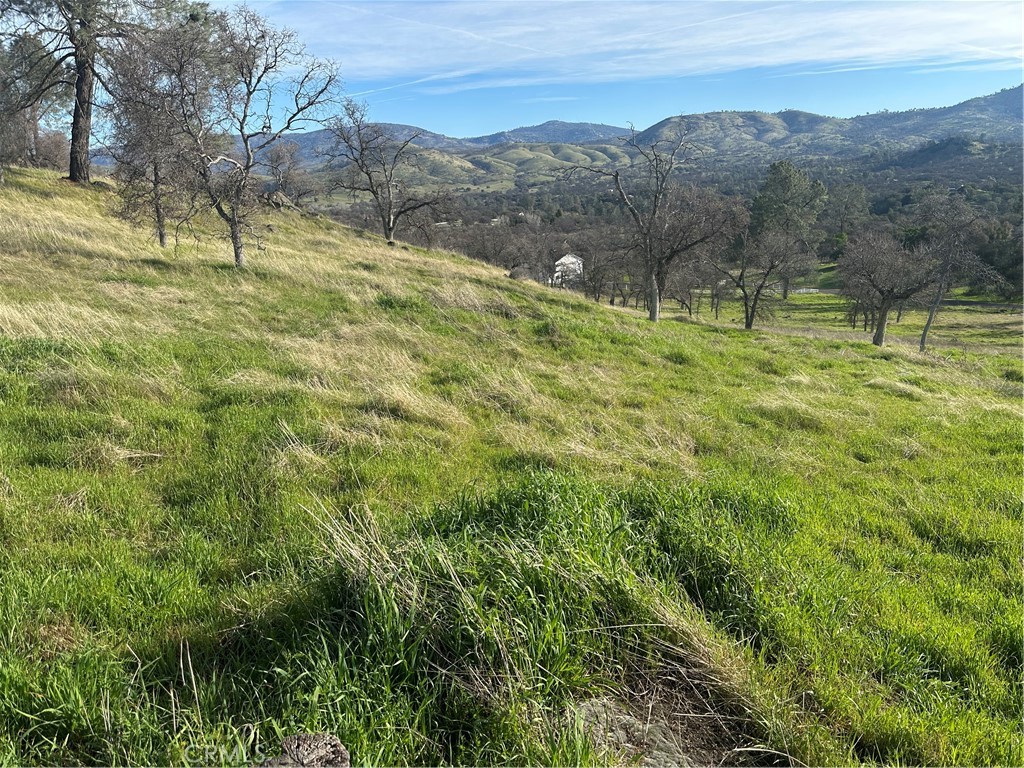 3228 Wild Rose Ct, Catheys Valley, CA 95306
