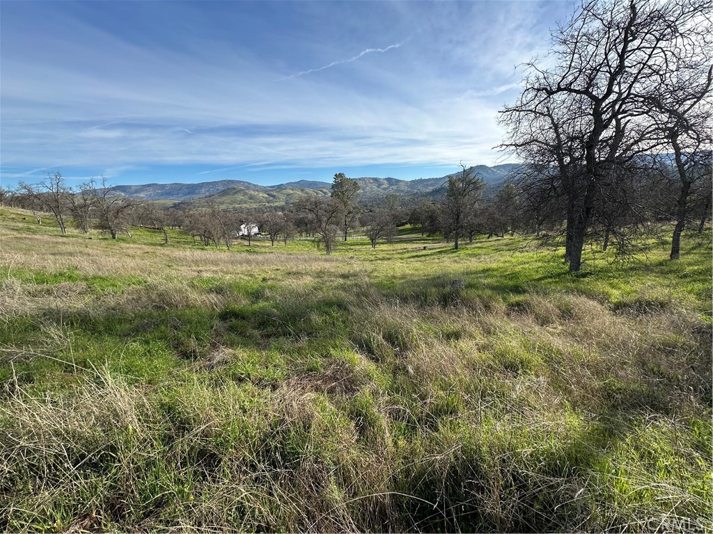 3228 Wild Rose Ct, Catheys Valley, CA 95306