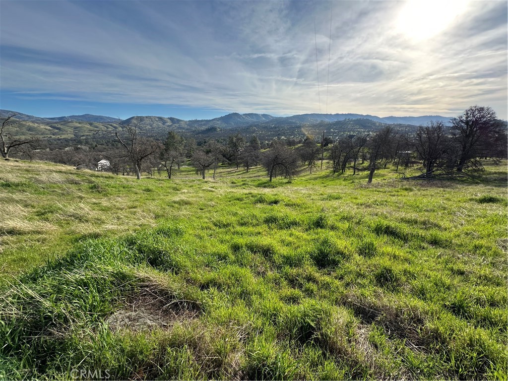 3228 Wild Rose Ct, Catheys Valley, CA 95306
