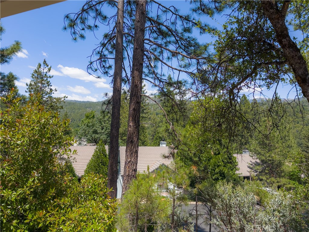 50824 Smoke Tree Trl, Bass Lake, CA 93644