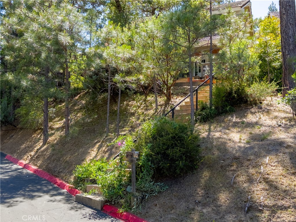 50824 Smoke Tree Trl, Bass Lake, CA 93644