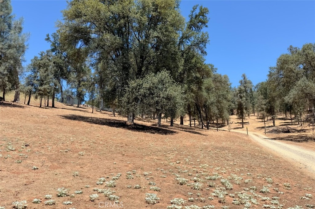 4121 Old Hwy, Mariposa, CA 95338