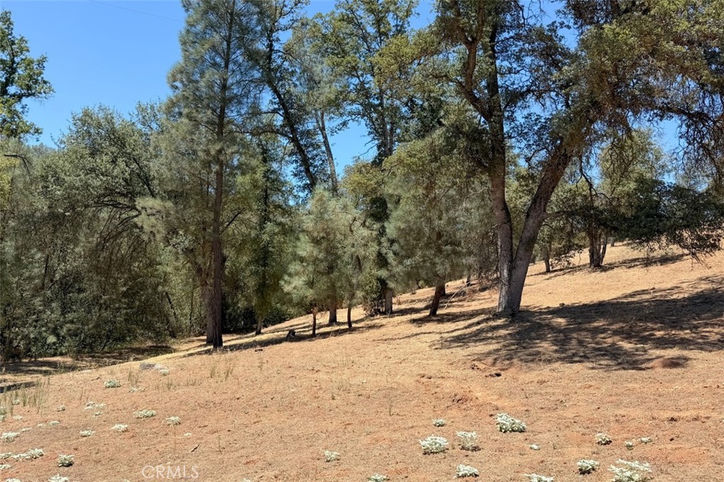 4121 Old Hwy, Mariposa, CA 95338