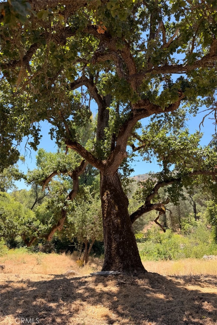 4121 Old Hwy, Mariposa, CA 95338
