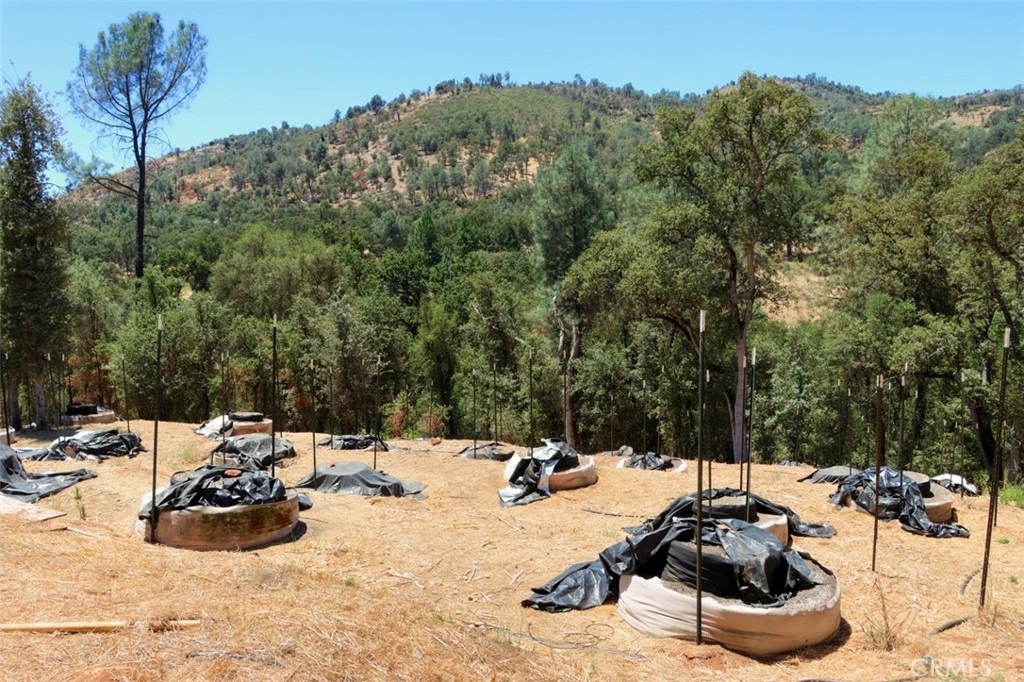 4121 Old Hwy, Mariposa, CA 95338