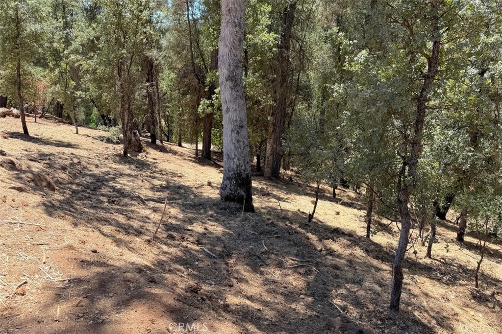 4121 Old Hwy, Mariposa, CA 95338
