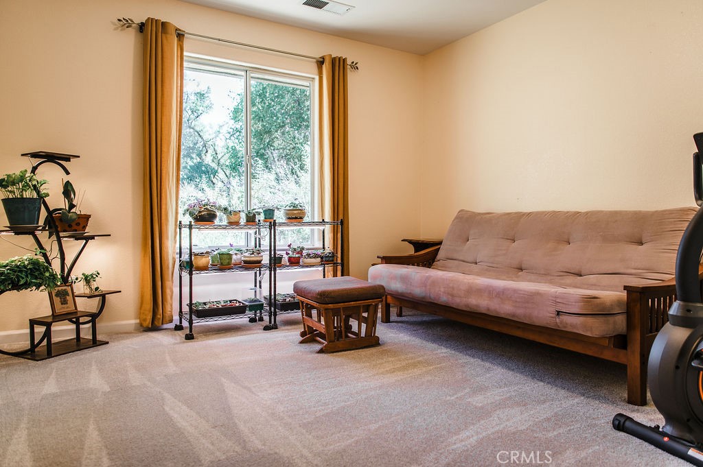 3619 Fig Tree Spring, Mariposa, CA 95338