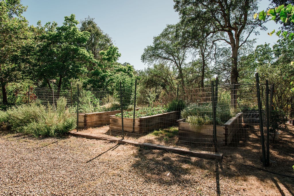 3619 Fig Tree Spring, Mariposa, CA 95338