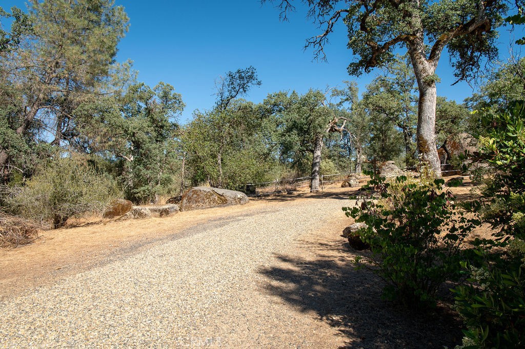 3619 Fig Tree Spring, Mariposa, CA 95338