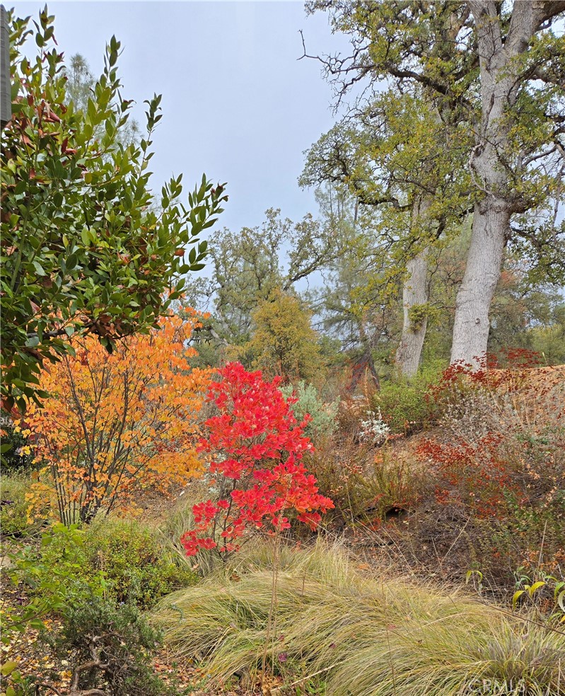 3619 Fig Tree Spring, Mariposa, CA 95338