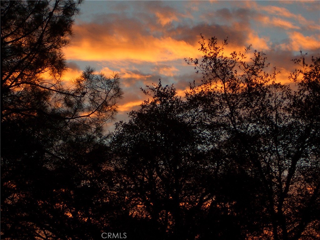 3619 Fig Tree Spring, Mariposa, CA 95338