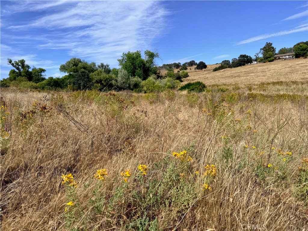 2628 Ranchito, La Grange, CA 95329