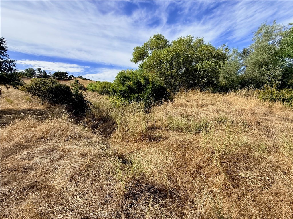 2628 Ranchito, La Grange, CA 95329