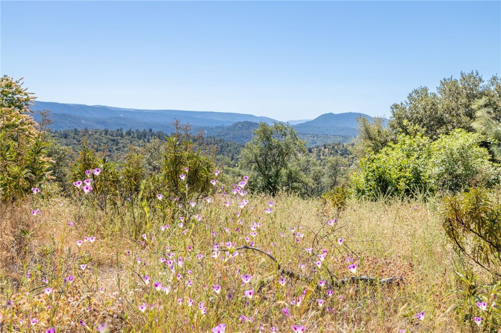 49 Acres Old Yosemite Rd, Oakhurst, CA 93644