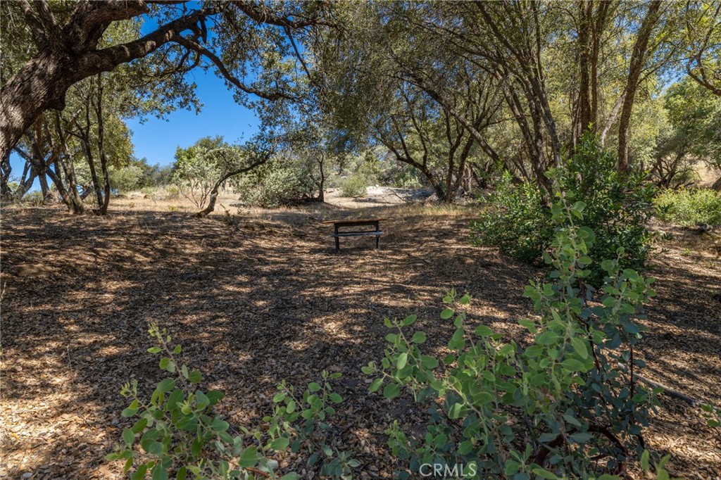 49 Acres Old Yosemite Rd, Oakhurst, CA 93644