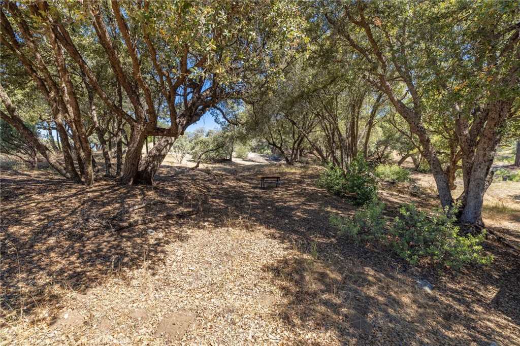 49 Acres Old Yosemite Rd, Oakhurst, CA 93644