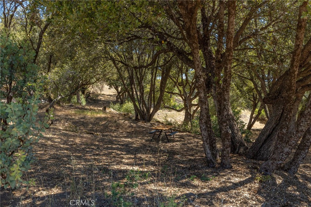 49 Acres Old Yosemite Rd, Oakhurst, CA 93644