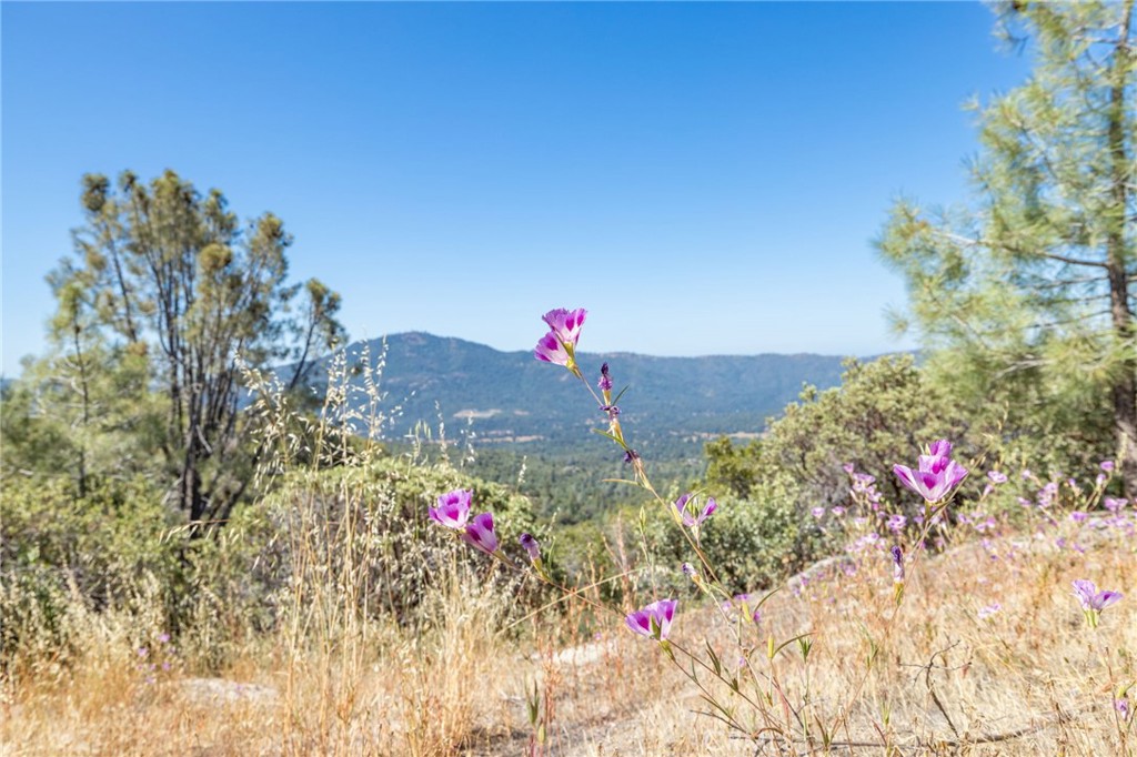 49 Acres Old Yosemite Rd, Oakhurst, CA 93644