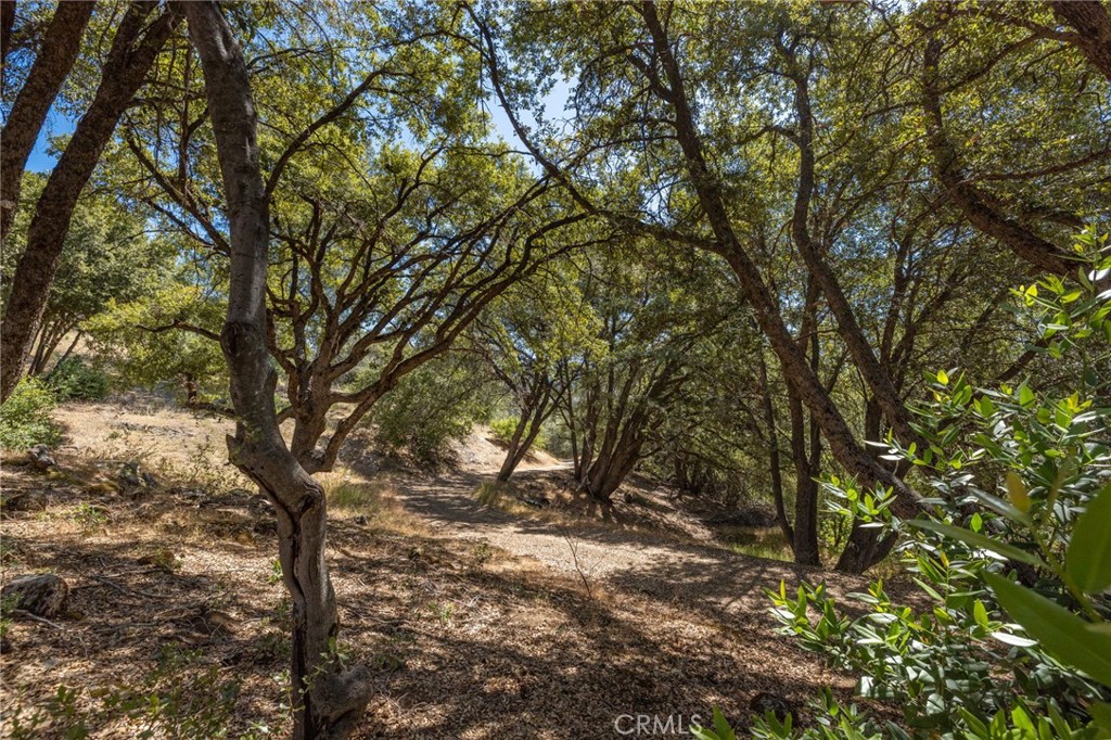 49 Acres Old Yosemite Rd, Oakhurst, CA 93644