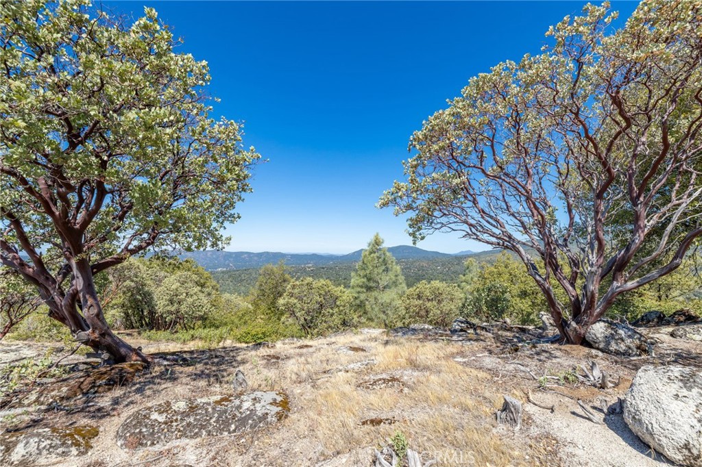 49 Acres Old Yosemite Rd, Oakhurst, CA 93644