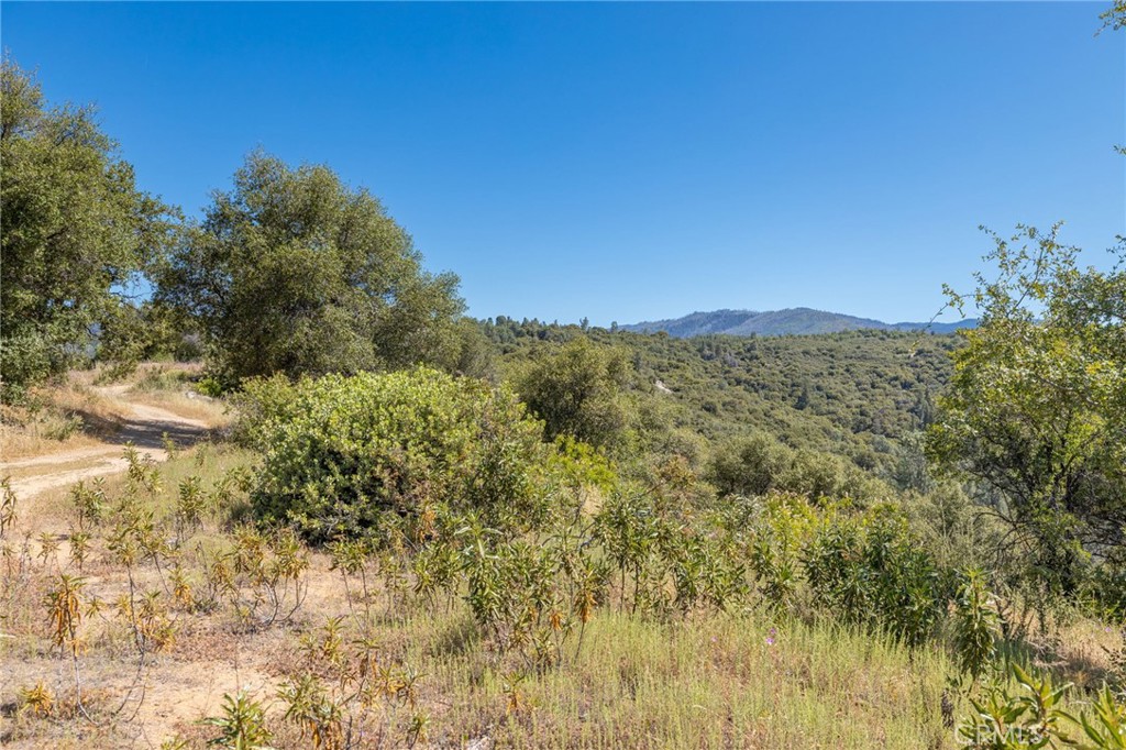 49 Acres Old Yosemite Rd, Oakhurst, CA 93644