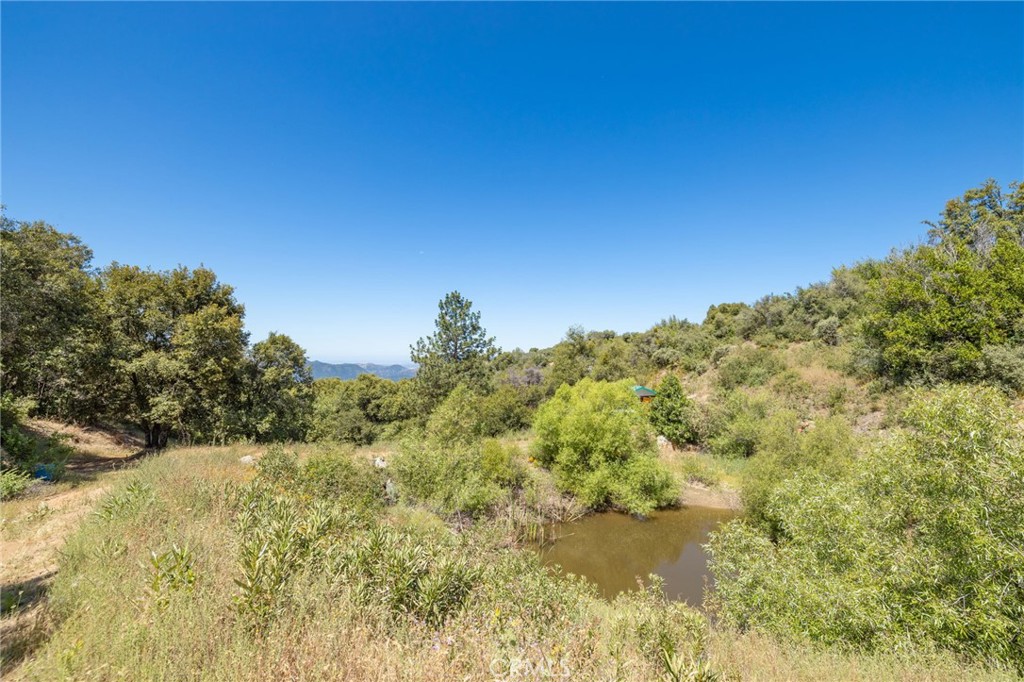 99 Acres Old Yosemite Rd, Oakhurst, CA 93644