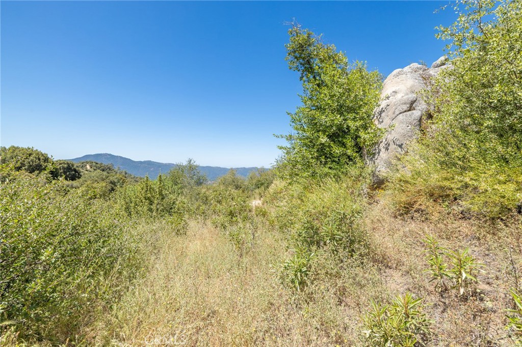 99 Acres Old Yosemite Rd, Oakhurst, CA 93644