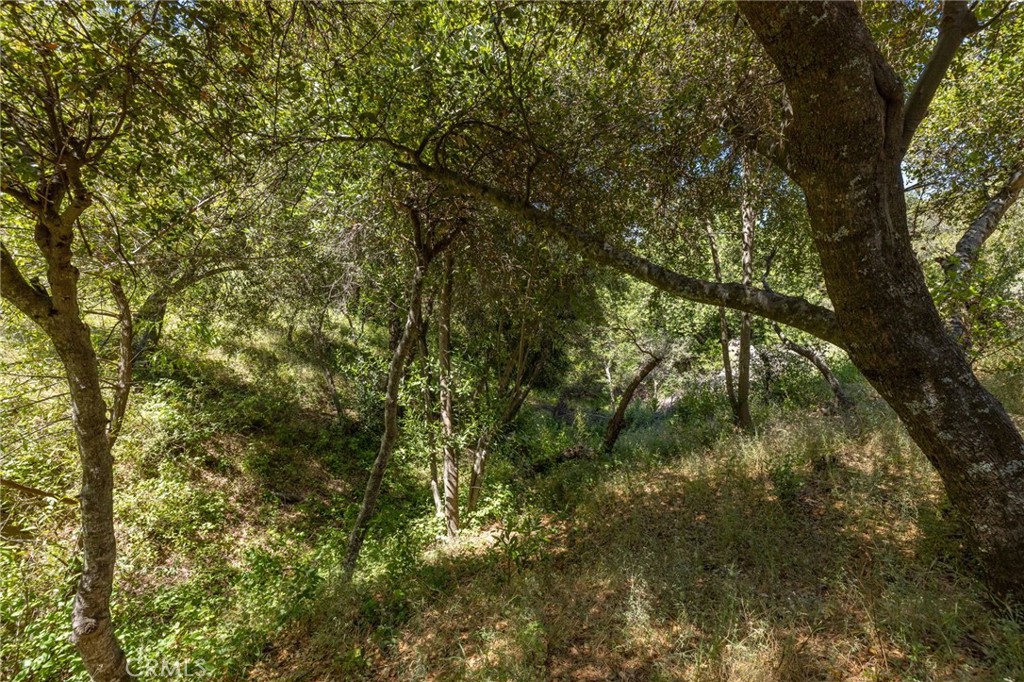 99 Acres Old Yosemite Rd, Oakhurst, CA 93644