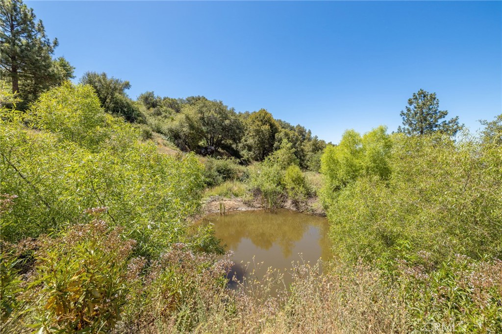 99 Acres Old Yosemite Rd, Oakhurst, CA 93644