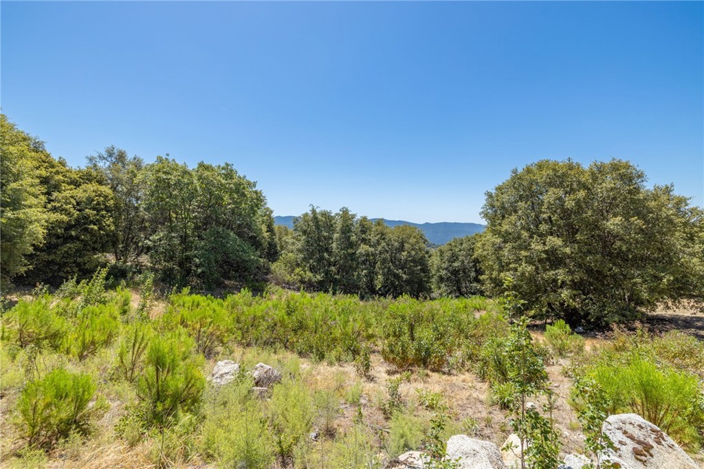 99 Acres Old Yosemite Rd, Oakhurst, CA 93644