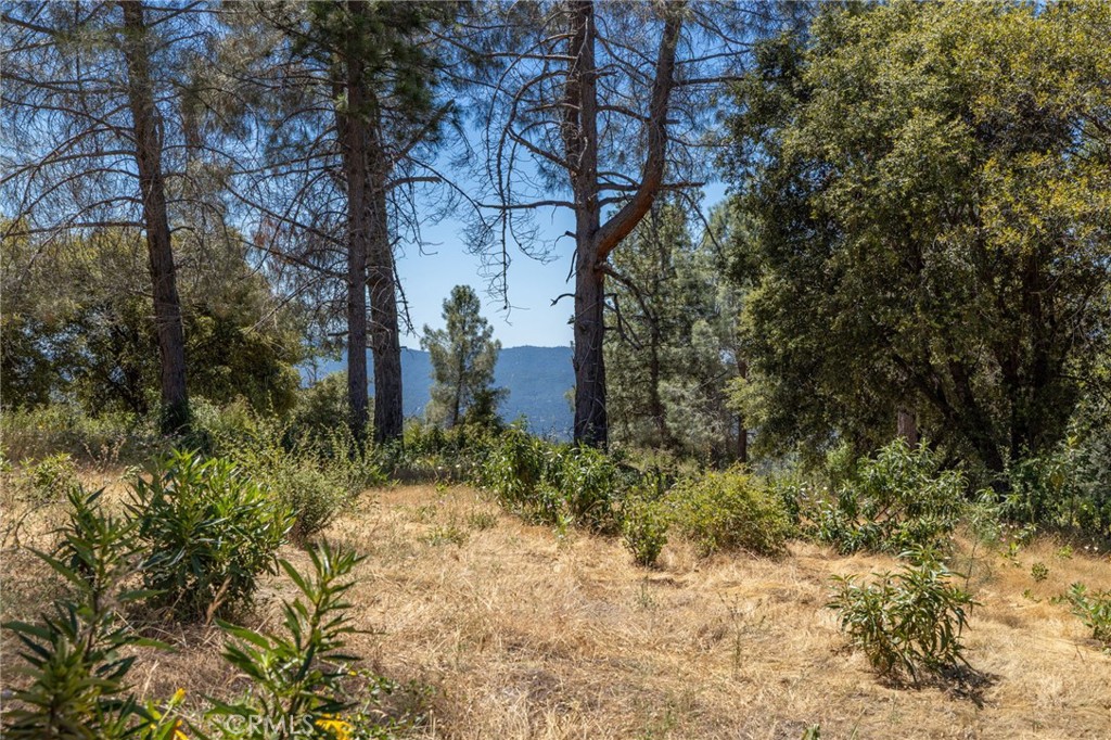 99 Acres Old Yosemite Rd, Oakhurst, CA 93644