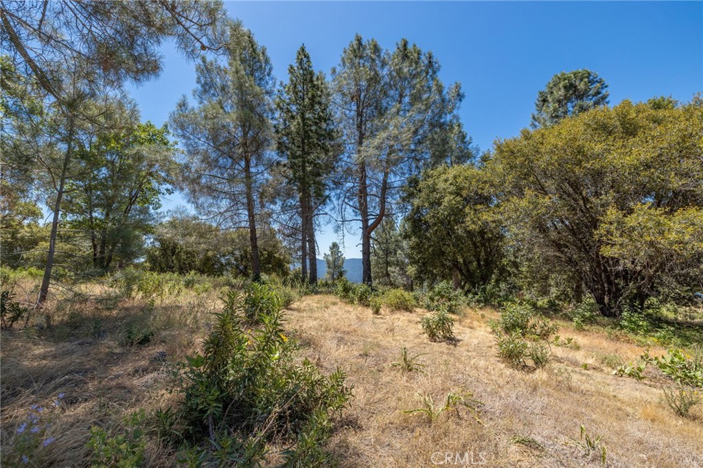 99 Acres Old Yosemite Rd, Oakhurst, CA 93644