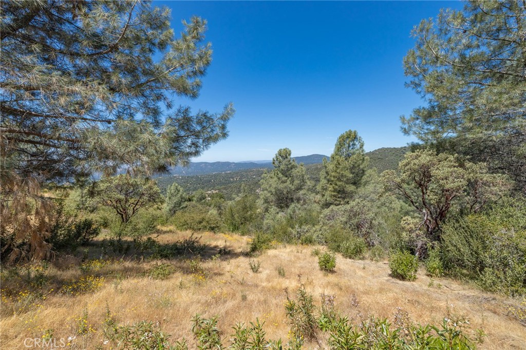 99 Acres Old Yosemite Rd, Oakhurst, CA 93644