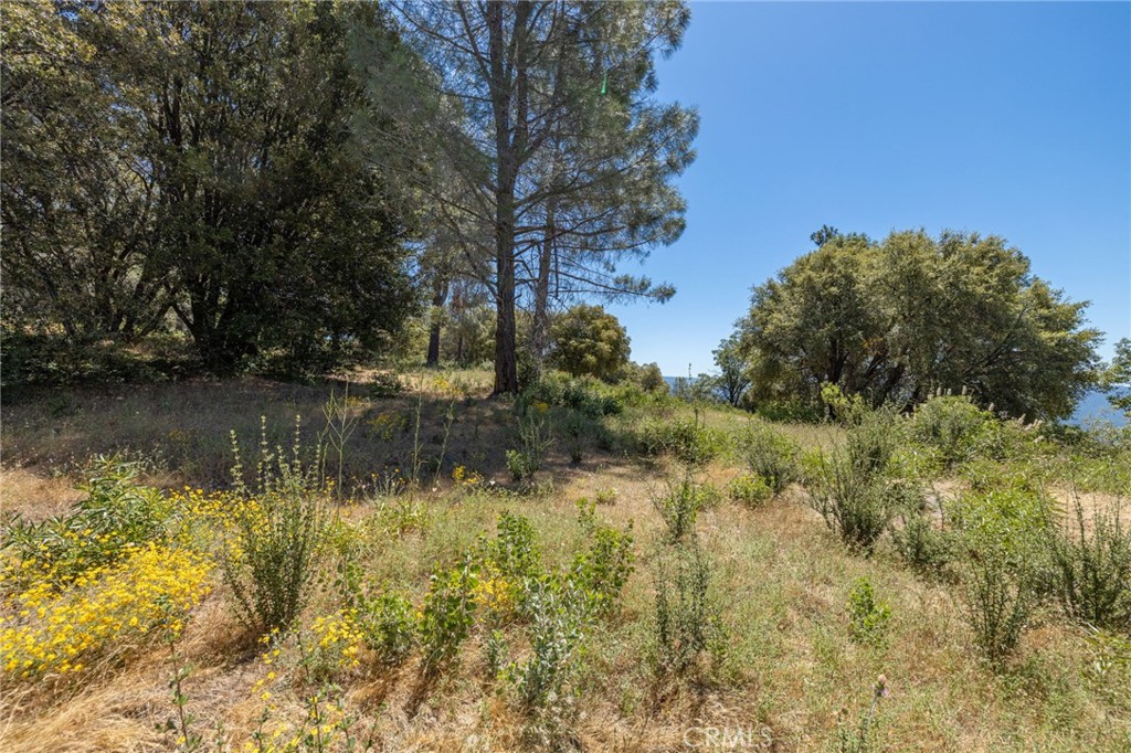 99 Acres Old Yosemite Rd, Oakhurst, CA 93644