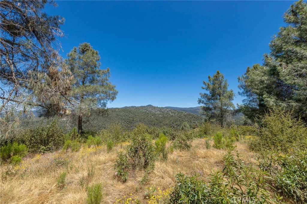99 Acres Old Yosemite Rd, Oakhurst, CA 93644