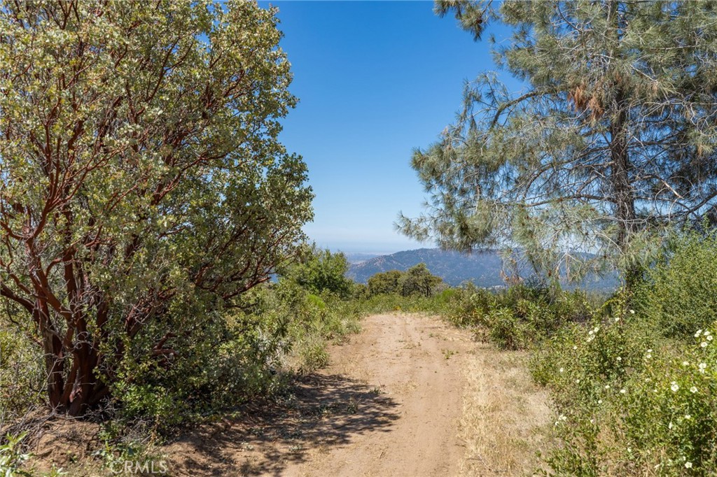 99 Acres Old Yosemite Rd, Oakhurst, CA 93644