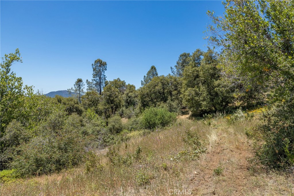 99 Acres Old Yosemite Rd, Oakhurst, CA 93644