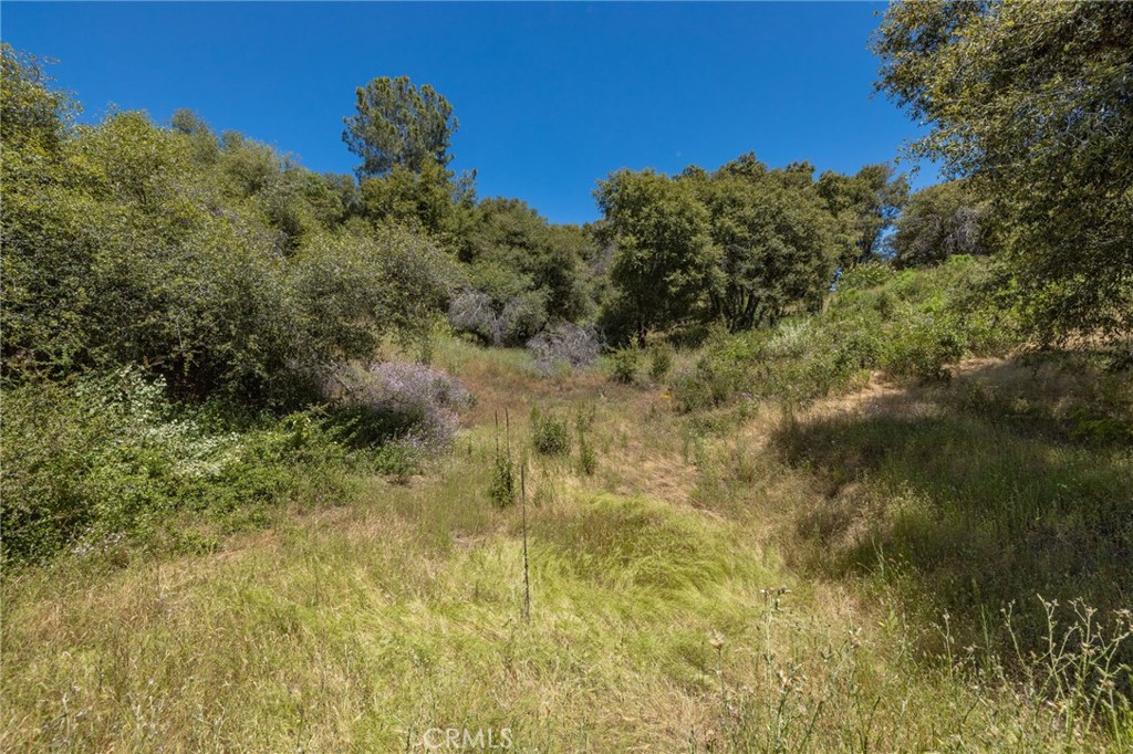 99 Acres Old Yosemite Rd, Oakhurst, CA 93644