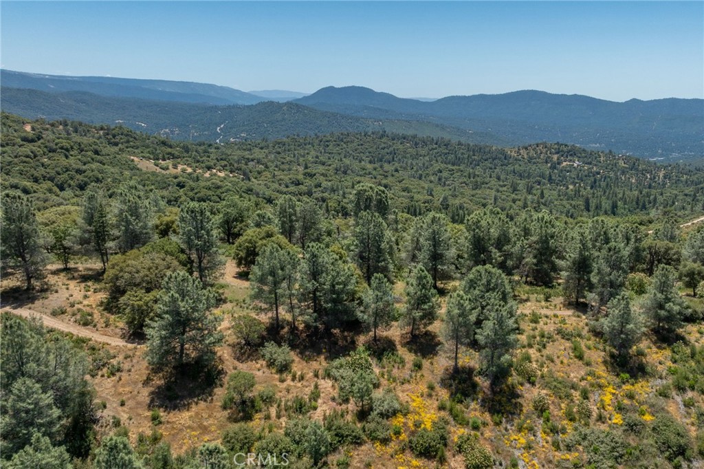 99 Acres Old Yosemite Rd, Oakhurst, CA 93644