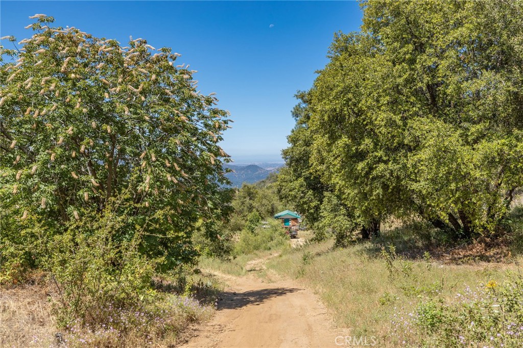 149 Acres Old Yosemite Rd, Oakhurst, CA 93644