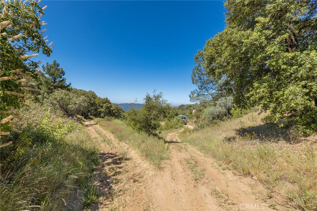 149 Acres Old Yosemite Rd, Oakhurst, CA 93644