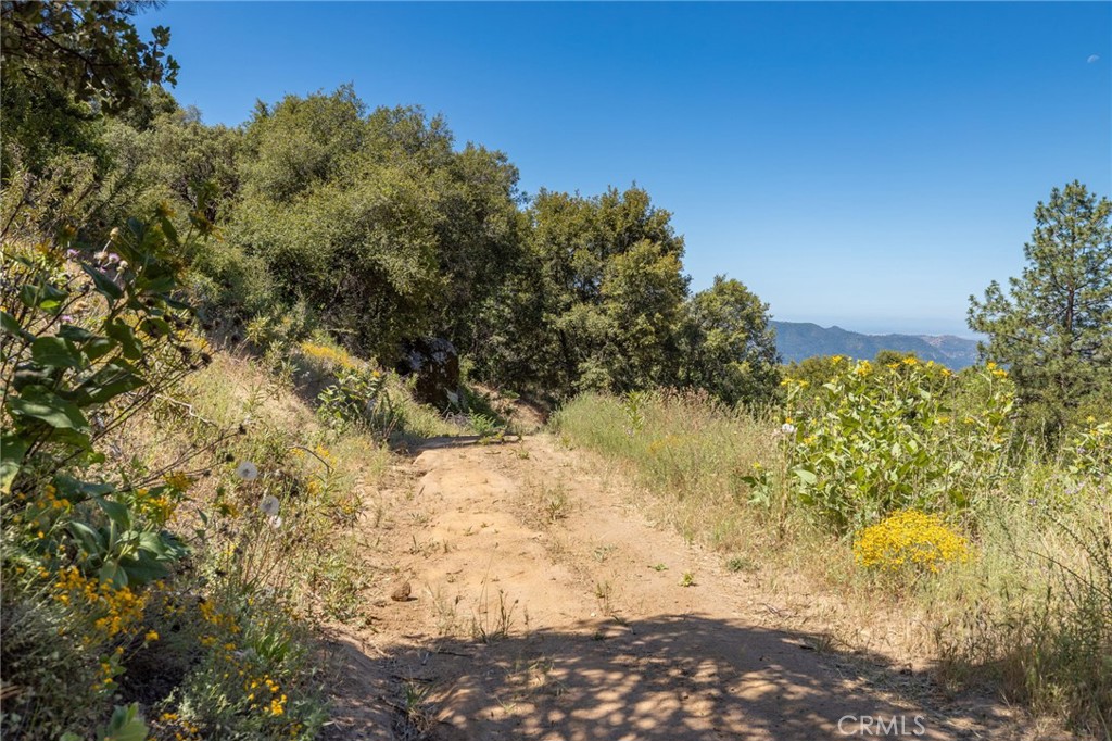 149 Acres Old Yosemite Rd, Oakhurst, CA 93644