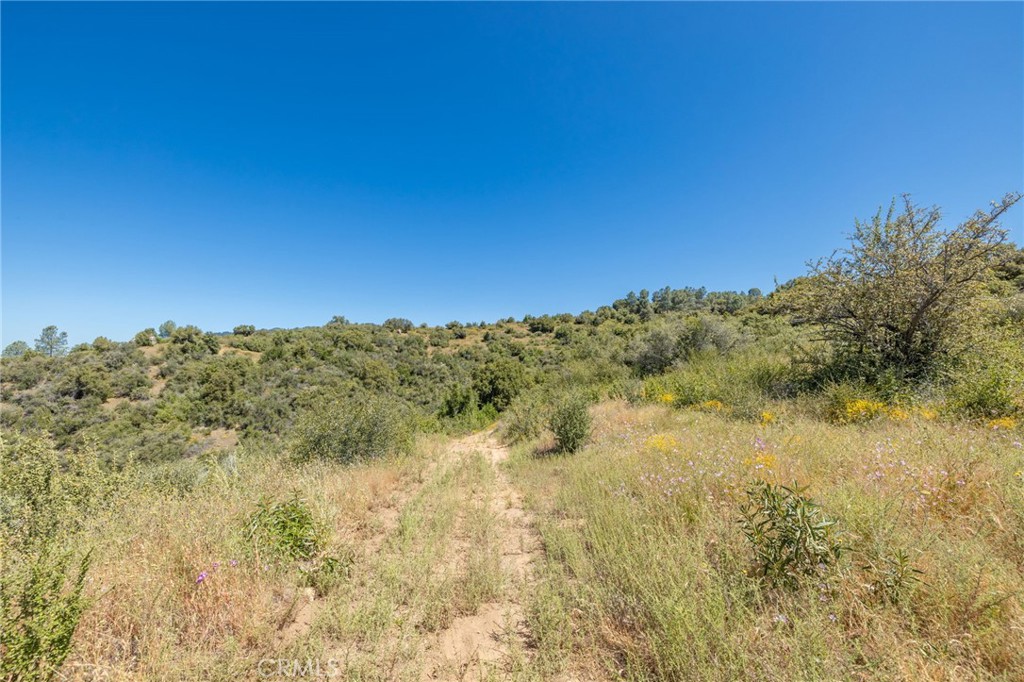 149 Acres Old Yosemite Rd, Oakhurst, CA 93644