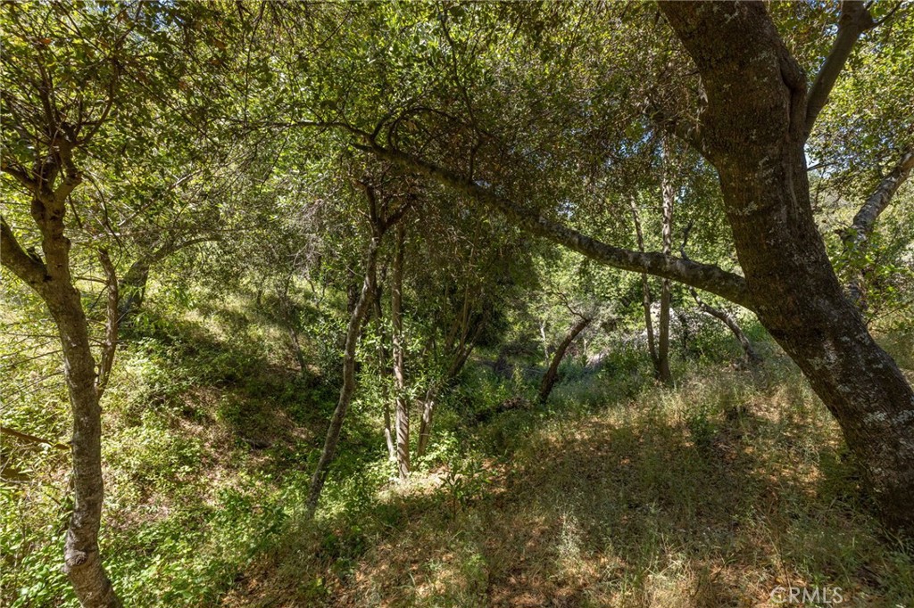 149 Acres Old Yosemite Rd, Oakhurst, CA 93644