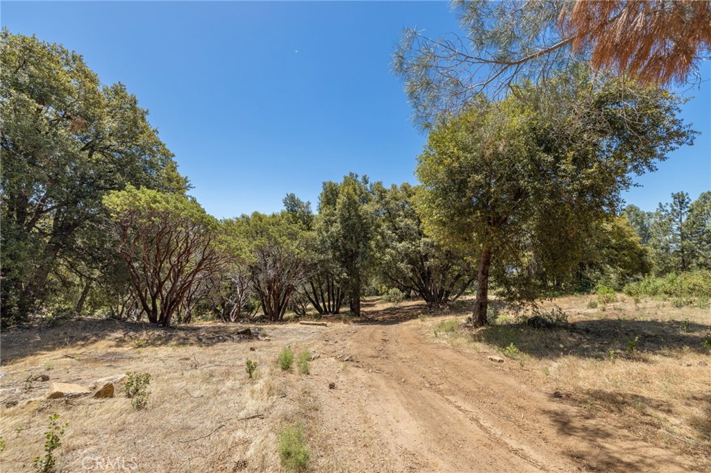 149 Acres Old Yosemite Rd, Oakhurst, CA 93644