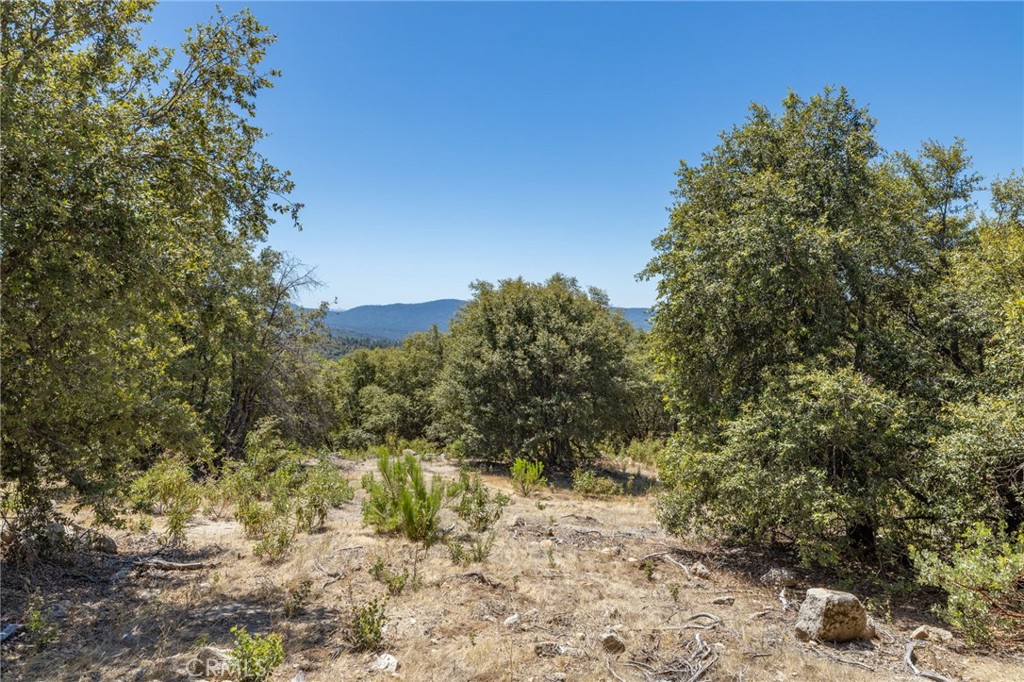 149 Acres Old Yosemite Rd, Oakhurst, CA 93644