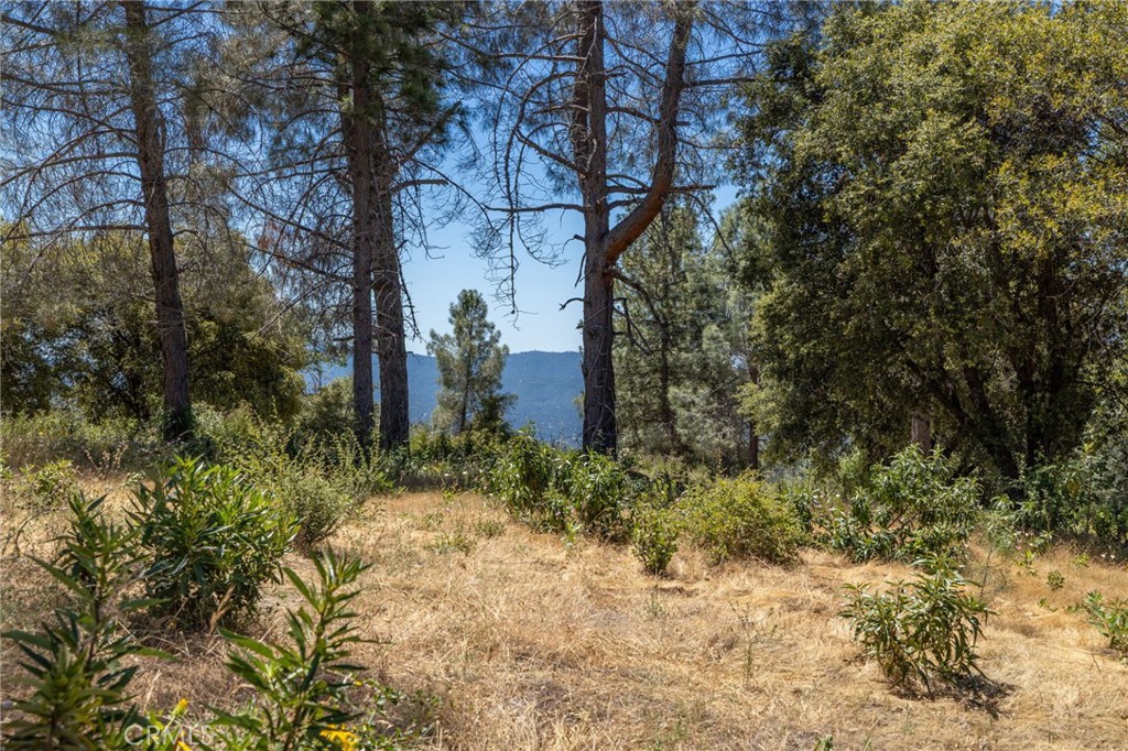 149 Acres Old Yosemite Rd, Oakhurst, CA 93644