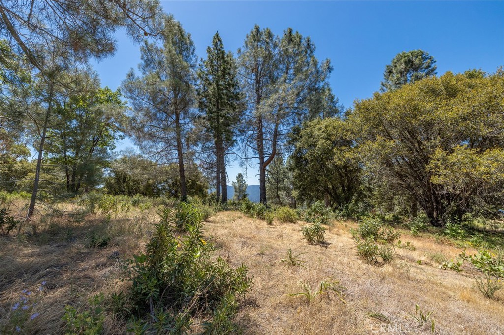 149 Acres Old Yosemite Rd, Oakhurst, CA 93644